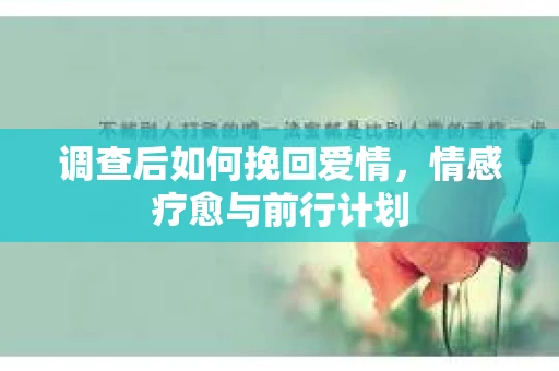 调查后如何挽回爱情，情感疗愈与前行计划