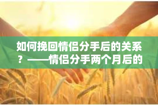 如何挽回情侣分手后的关系？——情侣分手两个月后的应对策略