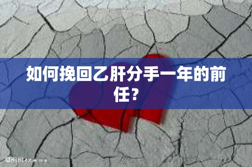 如何挽回乙肝分手一年的前任？