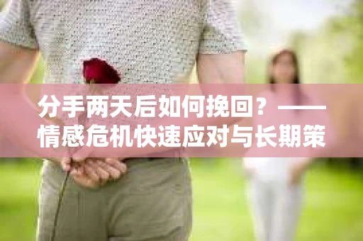 分手两天后如何挽回？——情感危机快速应对与长期策略