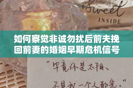 如何察觉非诚勿扰后前夫挽回前妻的婚姻早期危机信号？