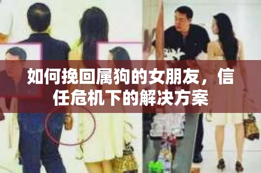 如何挽回属狗的女朋友，信任危机下的解决方案