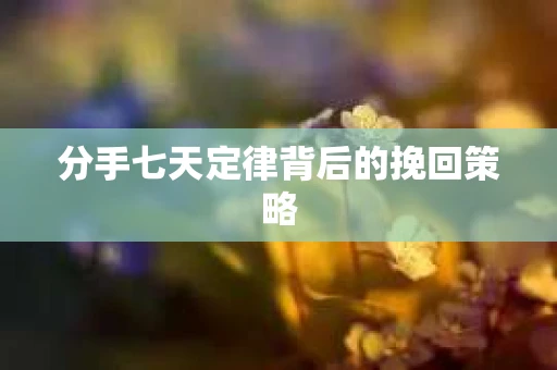 分手七天定律背后的挽回策略