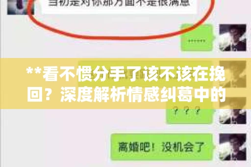 **看不惯分手了该不该在挽回？深度解析情感纠葛中的抉择**
