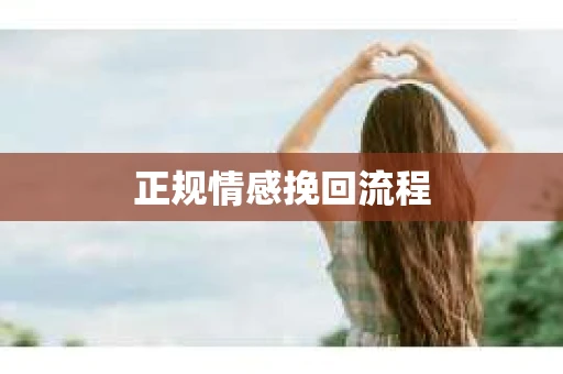 正规情感挽回流程