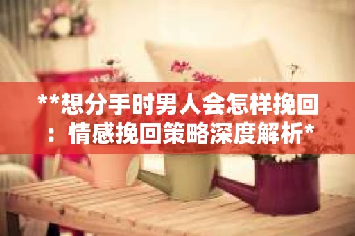 **想分手时男人会怎样挽回：情感挽回策略深度解析**