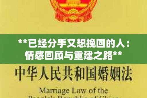 **已经分手又想挽回的人：情感回顾与重建之路**