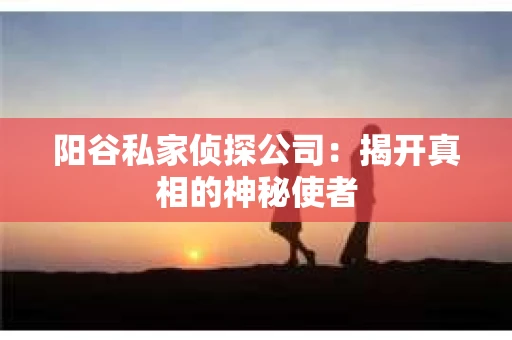 阳谷私家侦探公司：揭开真相的神秘使者