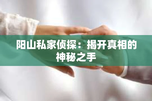 阳山私家侦探：揭开真相的神秘之手