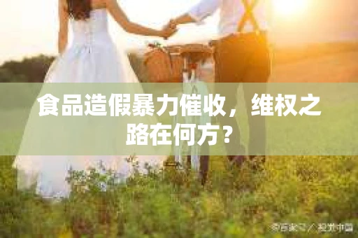 食品造假暴力催收，维权之路在何方？