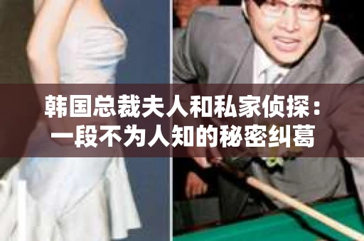 韩国总裁夫人和私家侦探：一段不为人知的秘密纠葛