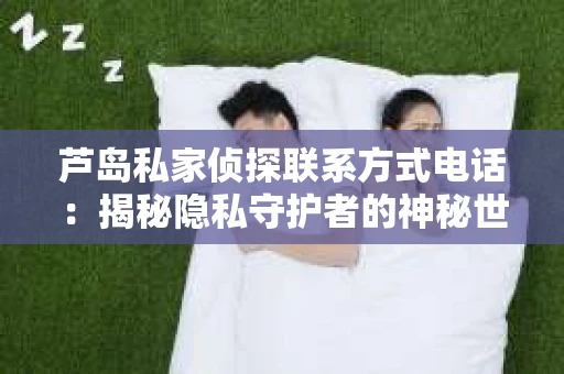 芦岛私家侦探联系方式电话：揭秘隐私守护者的神秘世界