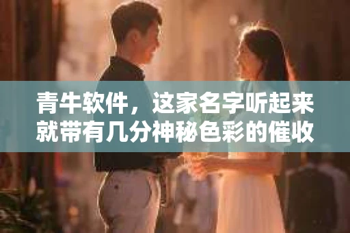 青牛软件，这家名字听起来就带有几分神秘色彩的催收公司，近年来在业内引起了不小的关注。那么，青牛软件究竟隶属于哪家催收机构呢？今天，我们就来揭开这个谜团。