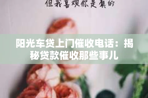 阳光车贷上门催收电话：揭秘贷款催收那些事儿