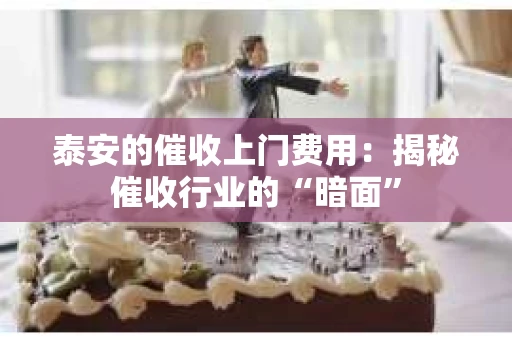 泰安的催收上门费用：揭秘催收行业的“暗面”