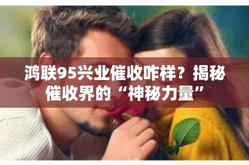 鸿联95兴业催收咋样？揭秘催收界的“神秘力量”