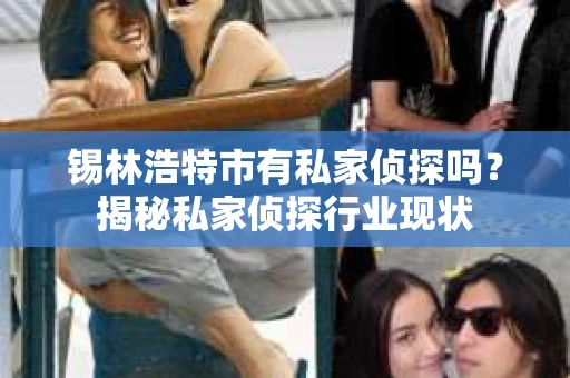 锡林浩特市有私家侦探吗？揭秘私家侦探行业现状