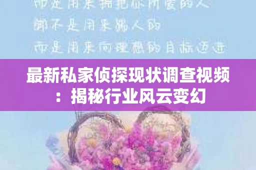 最新私家侦探现状调查视频：揭秘行业风云变幻