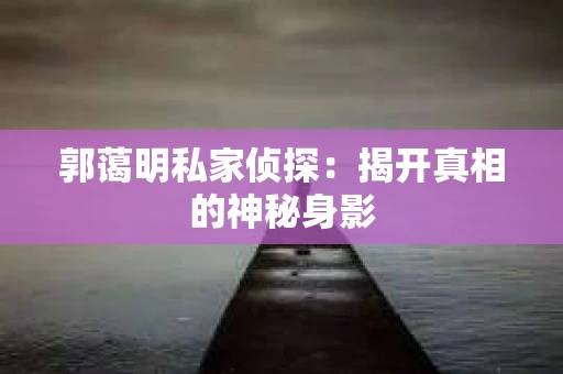 郭蔼明私家侦探：揭开真相的神秘身影