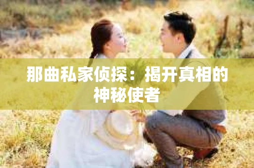 那曲私家侦探：揭开真相的神秘使者