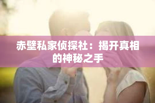 赤壁私家侦探社：揭开真相的神秘之手
