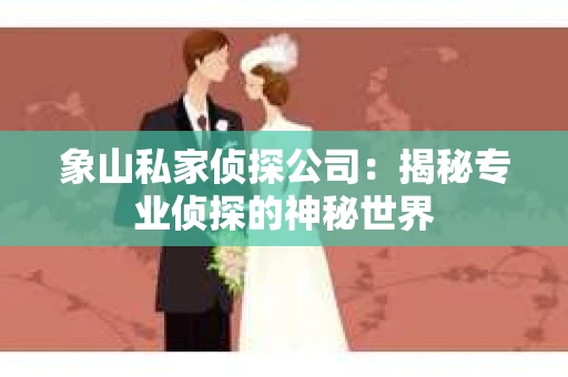 象山私家侦探公司：揭秘专业侦探的神秘世界