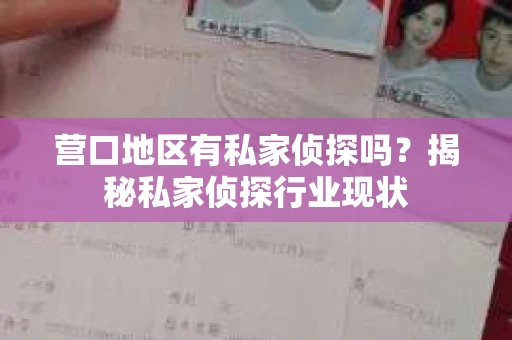 营口地区有私家侦探吗？揭秘私家侦探行业现状