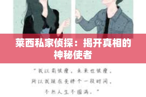 莱西私家侦探：揭开真相的神秘使者
