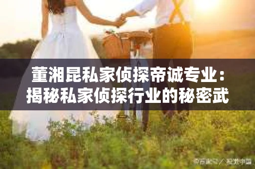 董湘昆私家侦探帝诚专业：揭秘私家侦探行业的秘密武器