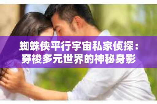 蜘蛛侠平行宇宙私家侦探：穿梭多元世界的神秘身影