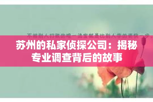 苏州的私家侦探公司：揭秘专业调查背后的故事