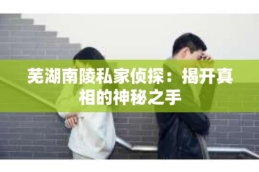芜湖南陵私家侦探：揭开真相的神秘之手