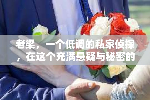 老梁，一个低调的私家侦探，在这个充满悬疑与秘密的城市中，扮演着不可或缺的角色。他的故事，就像一部未完待续的小说，充满了曲折与惊喜。