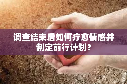 调查结束后如何疗愈情感并制定前行计划？