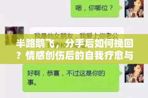 半路鹅飞，分手后如何挽回？情感创伤后的自我疗愈与人生决策
